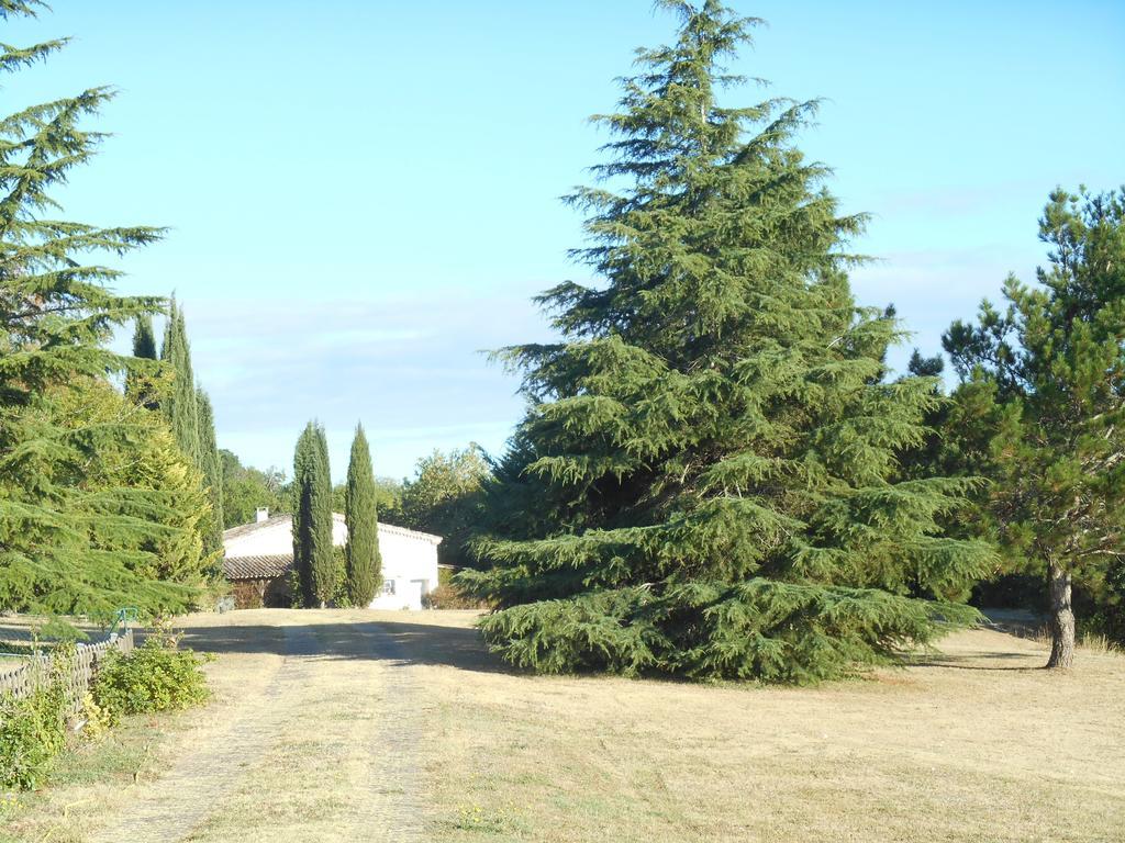 Bed and Breakfast Le Colombier Villeneuve-sur-Lot Exterior foto