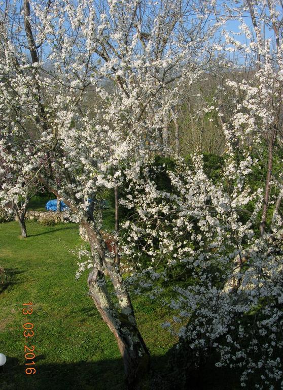 Bed and Breakfast Le Colombier Villeneuve-sur-Lot Exterior foto