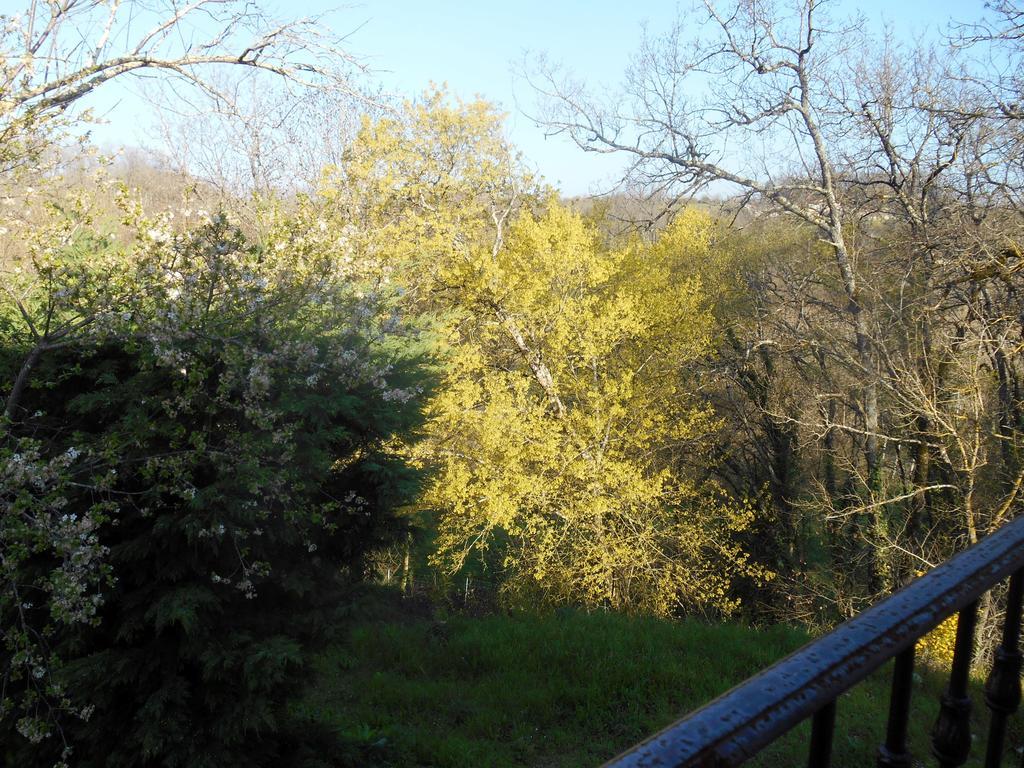 Bed and Breakfast Le Colombier Villeneuve-sur-Lot Exterior foto