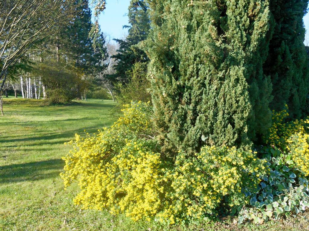 Bed and Breakfast Le Colombier Villeneuve-sur-Lot Exterior foto