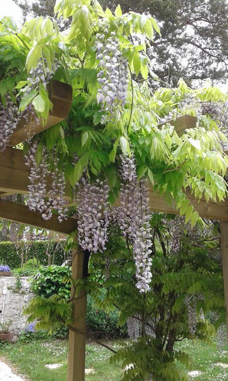 Bed and Breakfast Le Colombier Villeneuve-sur-Lot Exterior foto
