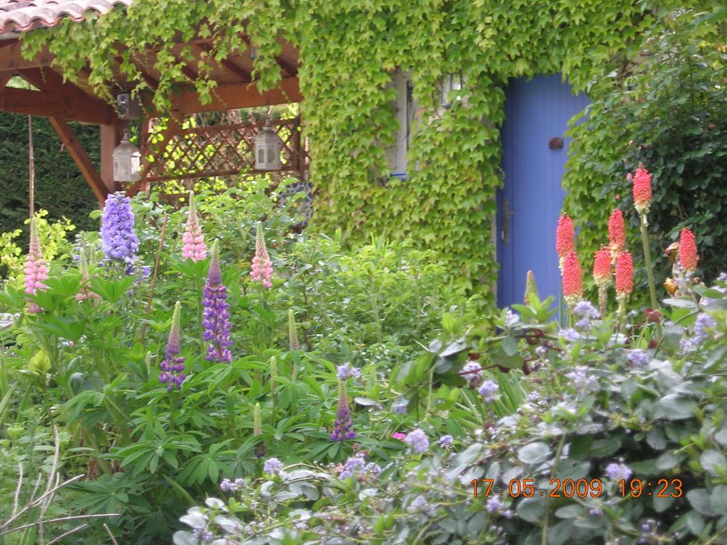 Bed and Breakfast Le Colombier Villeneuve-sur-Lot Exterior foto